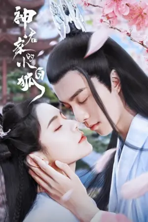 Tiểu Bạch Hồ Truy Phu