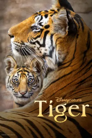Tiger - Phim lẻ 2024